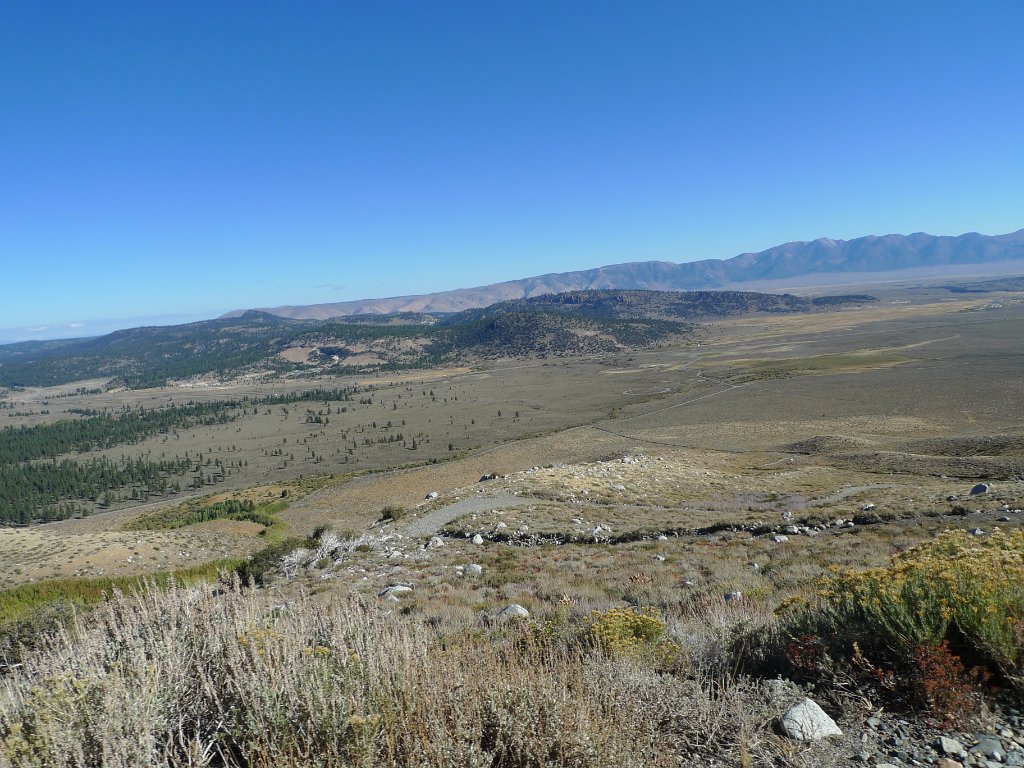 California-Fall2010 266.JPG